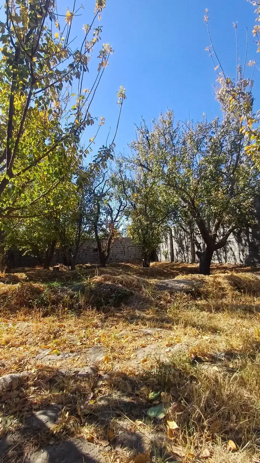 400 متر باغچه کردزار سند دار کاسبی|فروش خانه و ویلا|شهریار, کردزار|دیوار