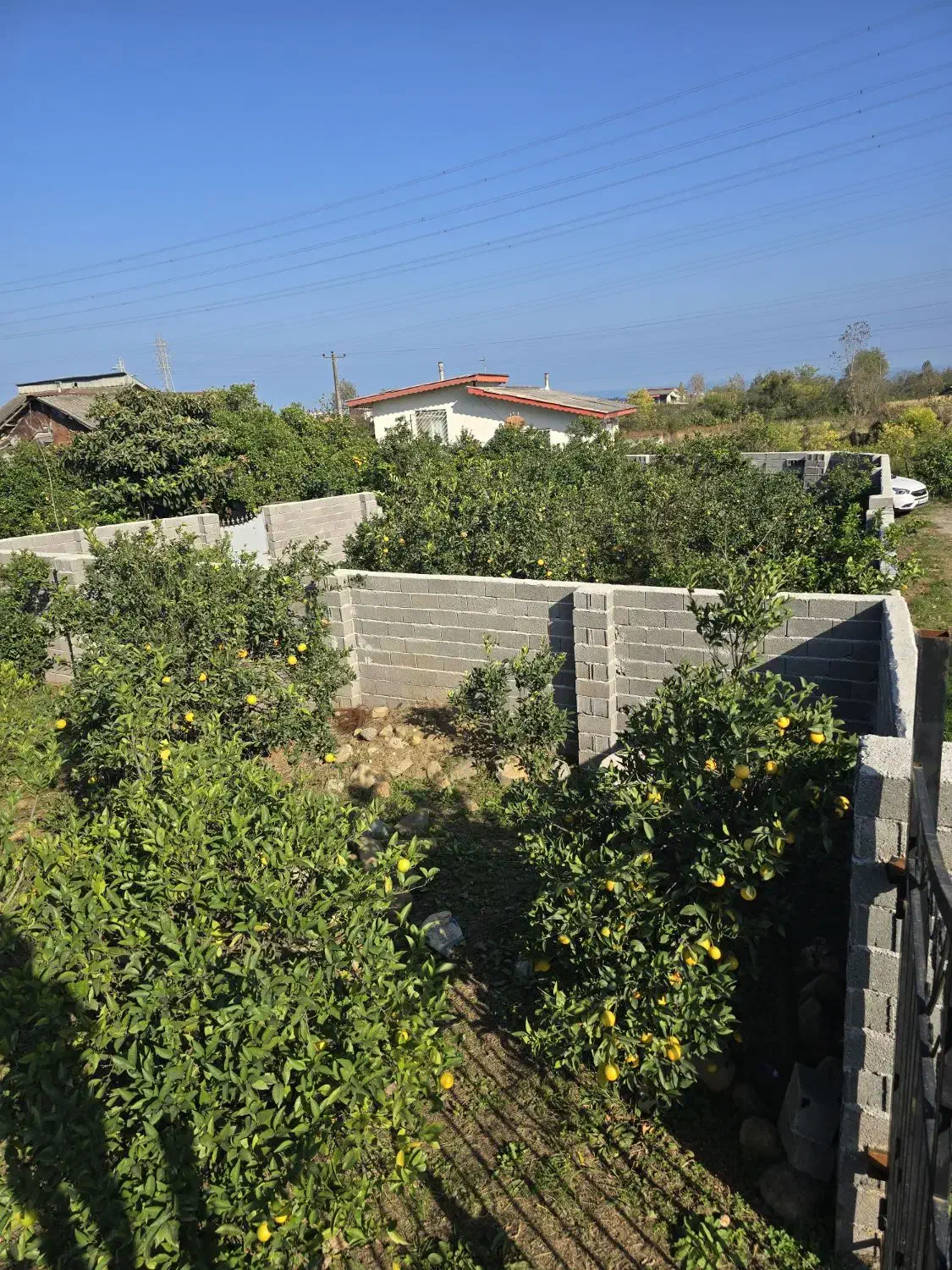 فروش زمین 500متری باکاربری مسکونی|فروش زمین و ملک کلنگی|چابکسر, |دیوار