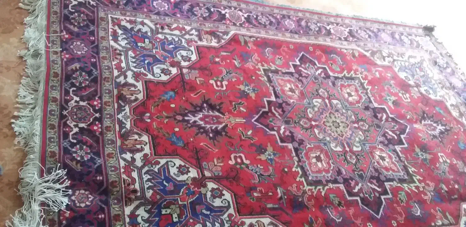 لوازم خانگی|فرش|بناب, |دیوار