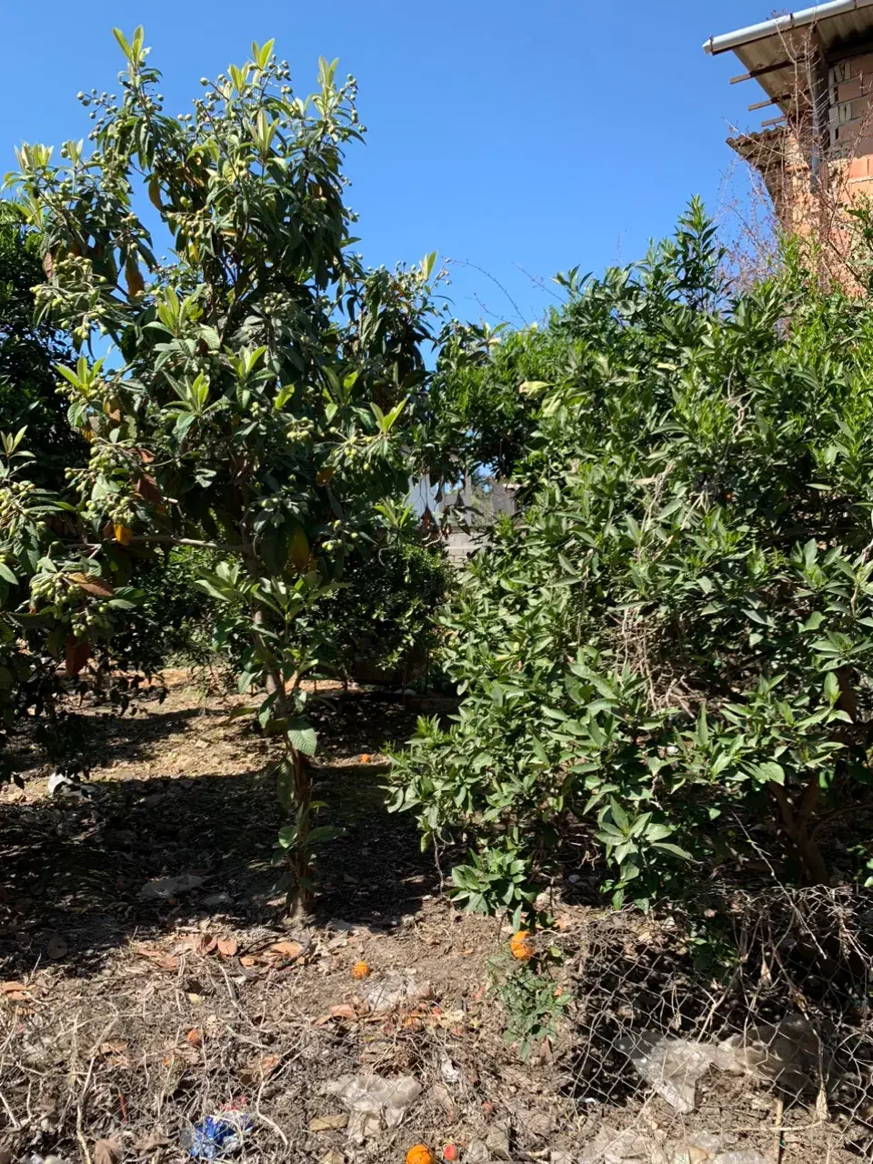 فروش خانه سرا|فروش زمین و ملک کلنگی|طبقده, |دیوار