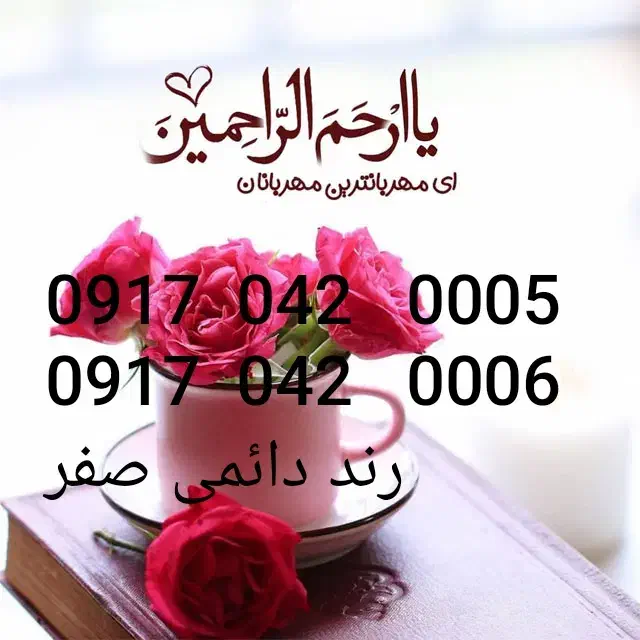 سیم کارت سریالی رند دائمی صفر|سیم‌کارت|شیراز, فرودگاه شهید دستغیب شیراز|دیوار