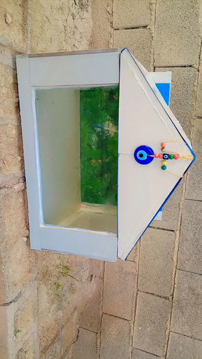 فروش آکواریوم|ماهی|جهرم, |دیوار