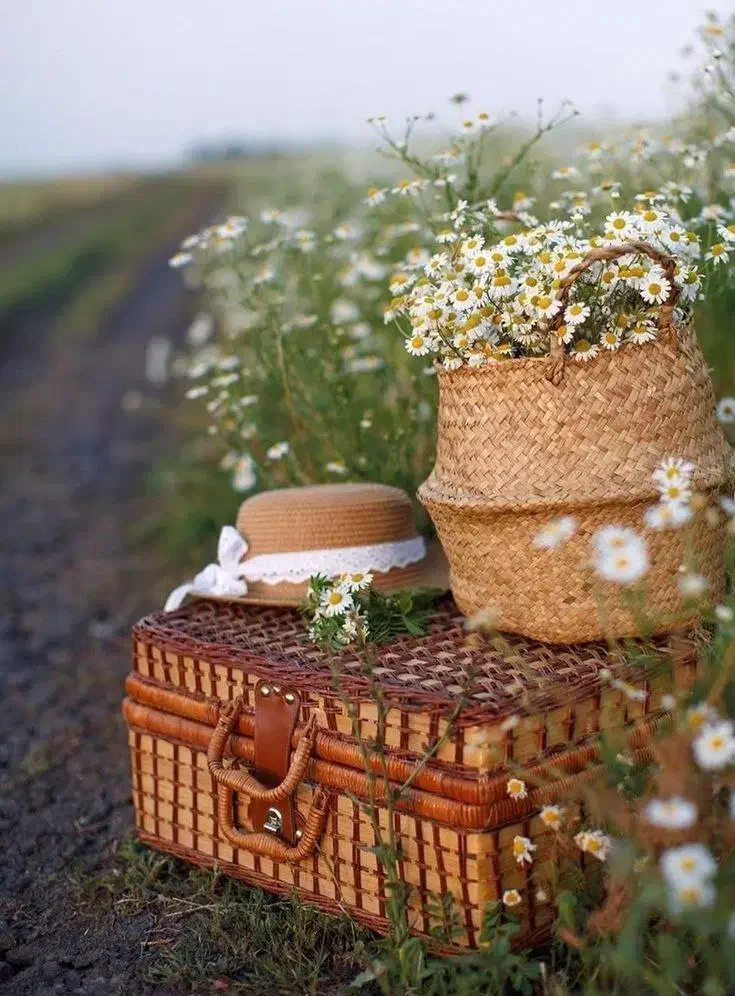 طبیعت گردی دورهمی|فعالیت داوطلبانه|کرج, عظیمیه|دیوار