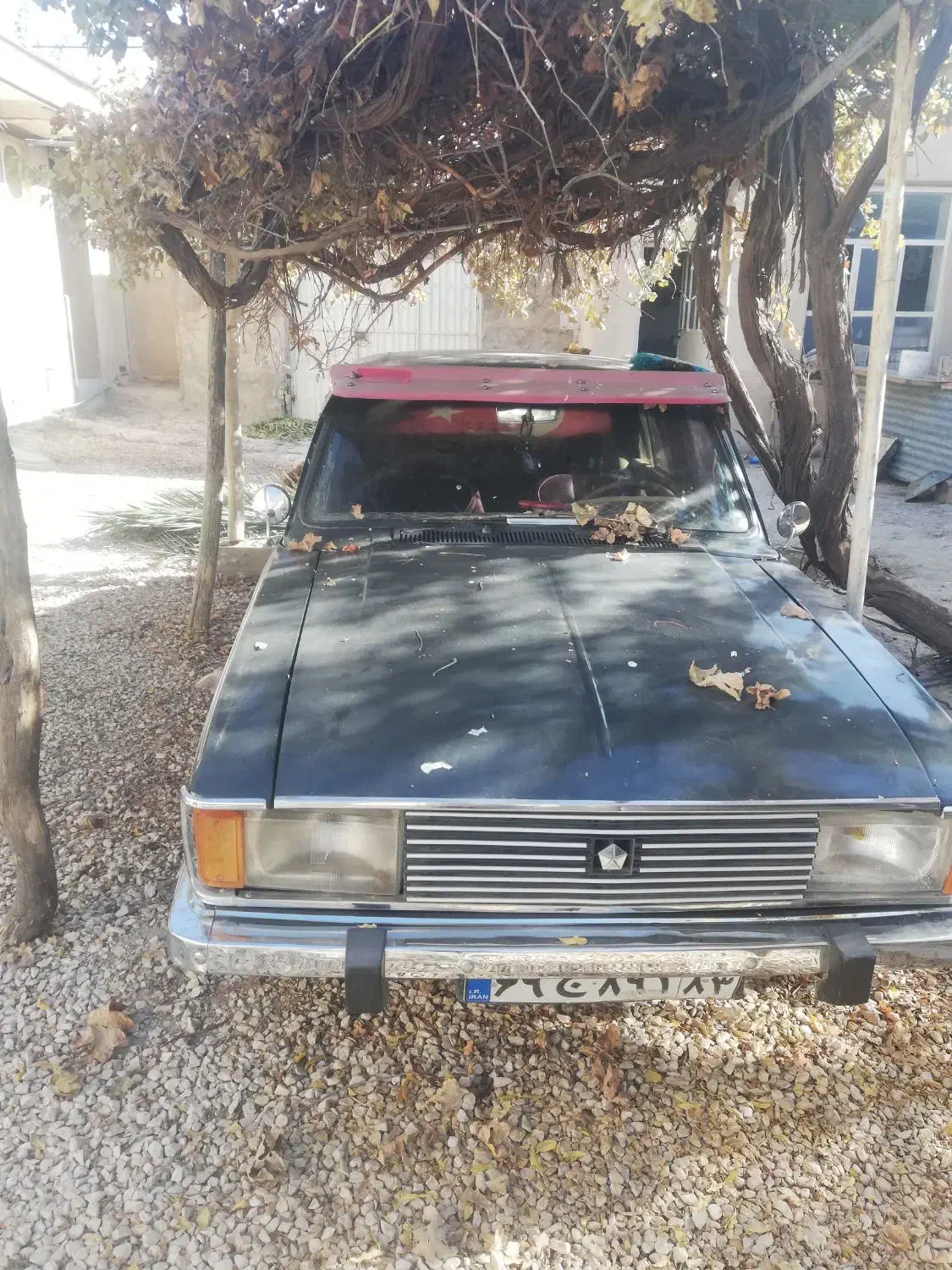 پیکان سواری|خودرو سواری و وانت|مرودشت, فرهنگ|دیوار