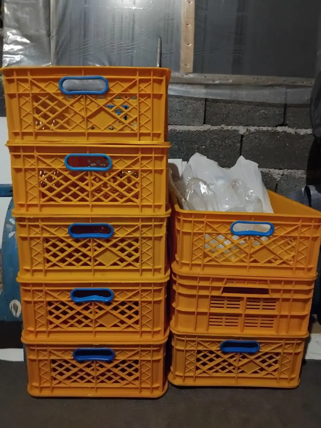 سبد کار،سبد میوه|فروشگاه و مغازه|رشت, حومه رشت|دیوار