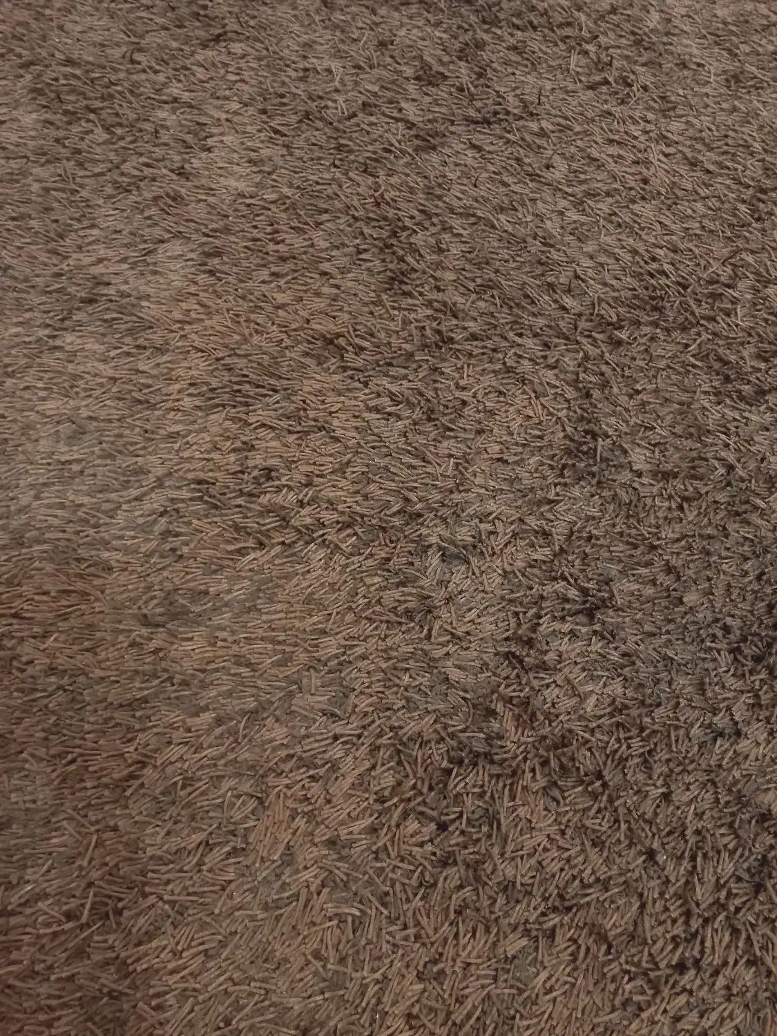 فرش هندی پرز بلند کاملن نو|فرش|ماهدشت, |دیوار