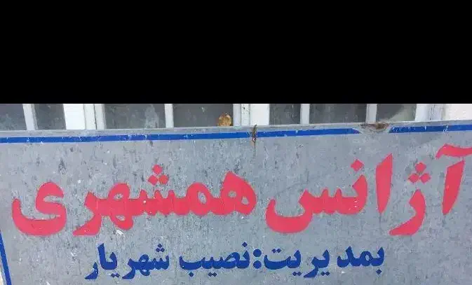 آژانس همشهری با مجوز پروانه کسب|دفتر کار|مشگین شهر, |دیوار