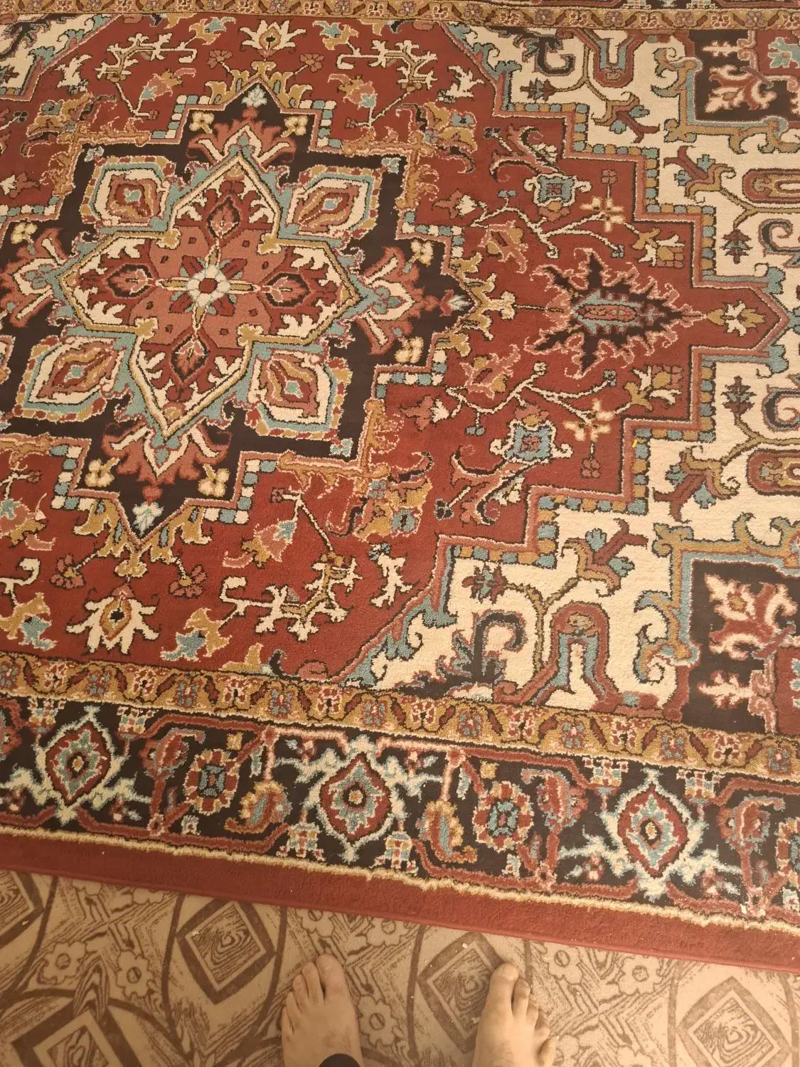 فرش ۲×۳ سهند|فرش|سلماس, |دیوار