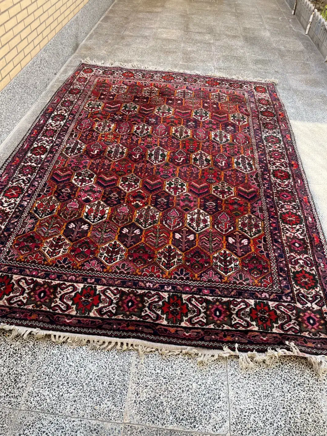 فرش دست بافت سالم|فرش|اصفهان, سپاهانشهر|دیوار