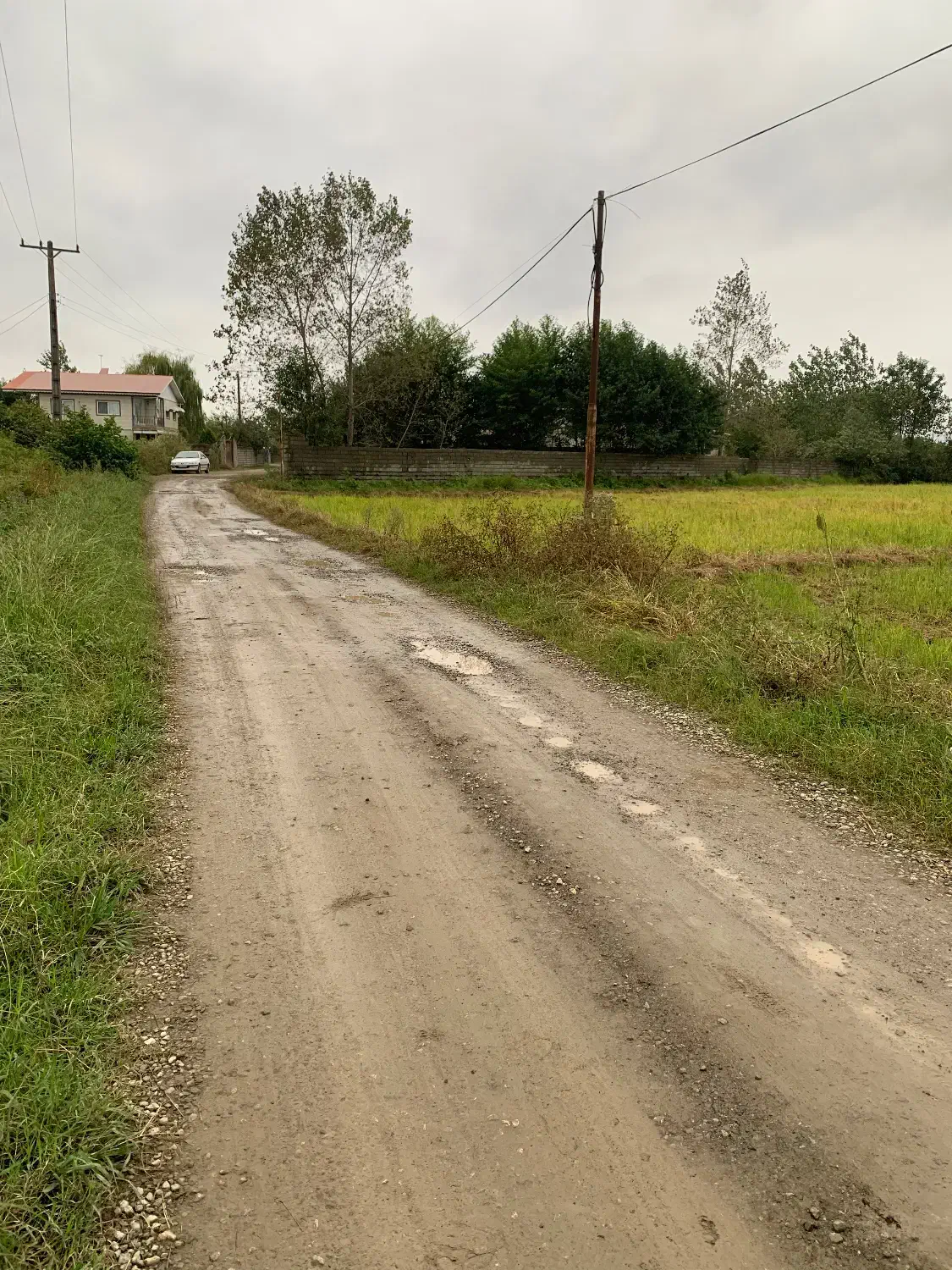 ۲۵۶متر مربع با کاربری مسکونی روستای اطراف پره سر|فروش زمین و ملک کلنگی|پره‌سر, |دیوار