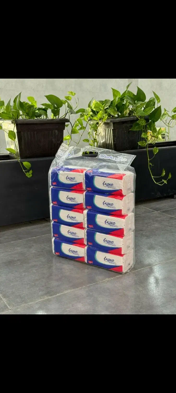 دستمال کاغذی بی تا،مرحبا ،آشتی،کامکار،پارول|مواد شوینده و دستمال کاغذی|شیراز, شهرک گلها|دیوار