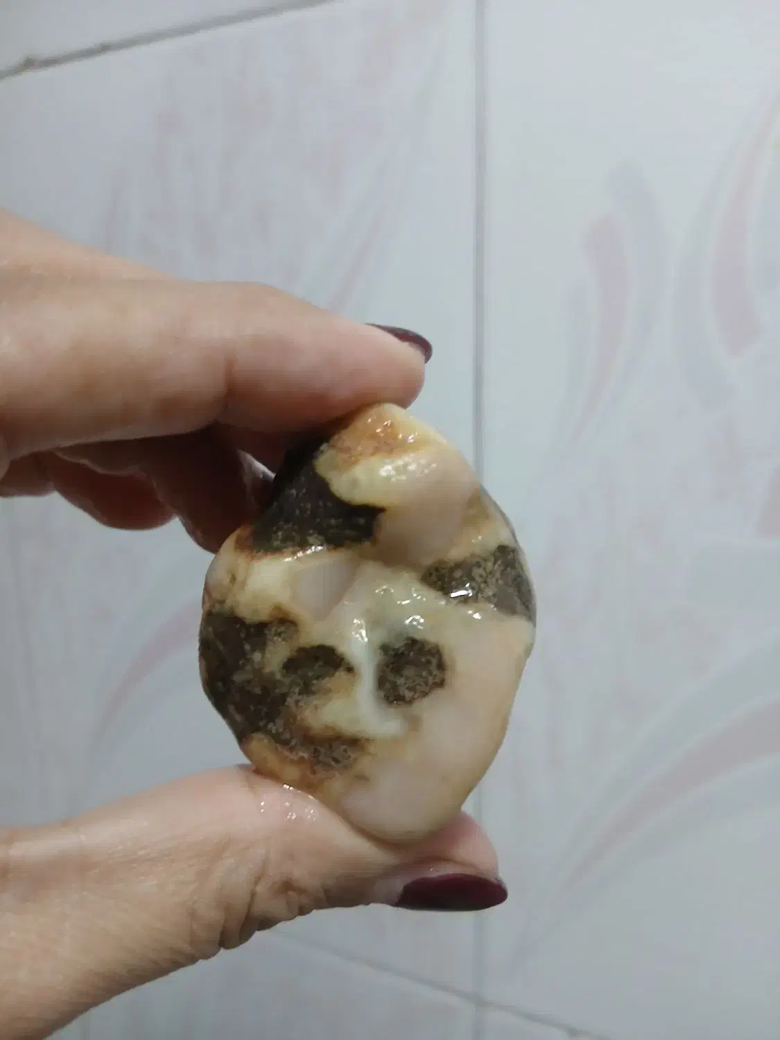 سنگ|جواهرات|رشت, حومه رشت|دیوار