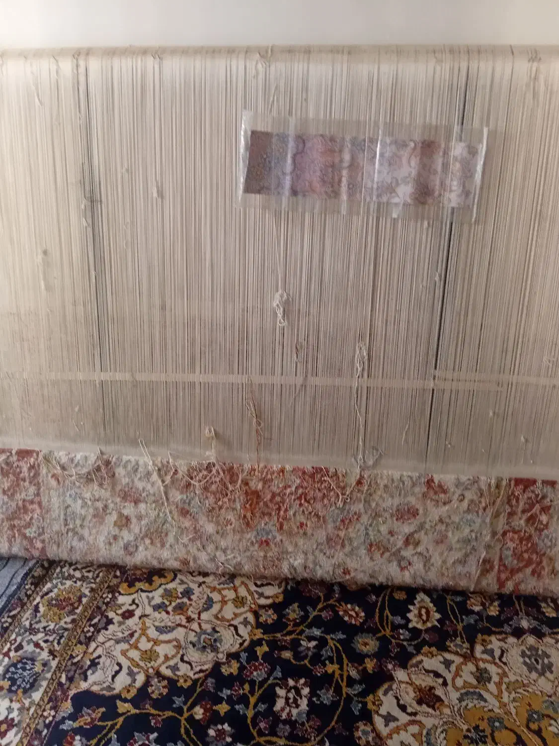 فرش نیمه کاره اولیا|فرش|تبریز, |دیوار