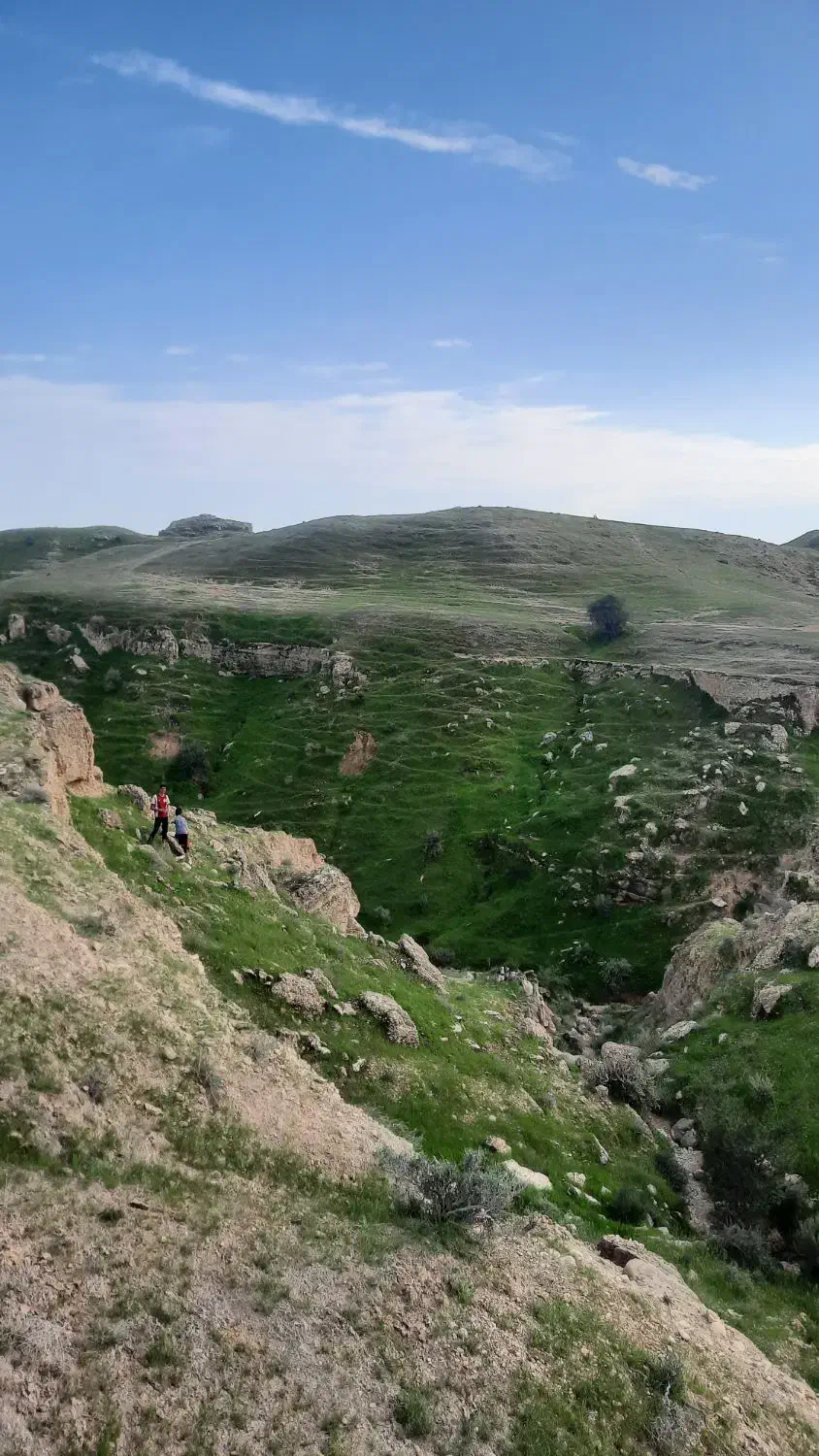 زمین شبانکاره|فروش زمین و ملک کلنگی|شبانکاره, |دیوار