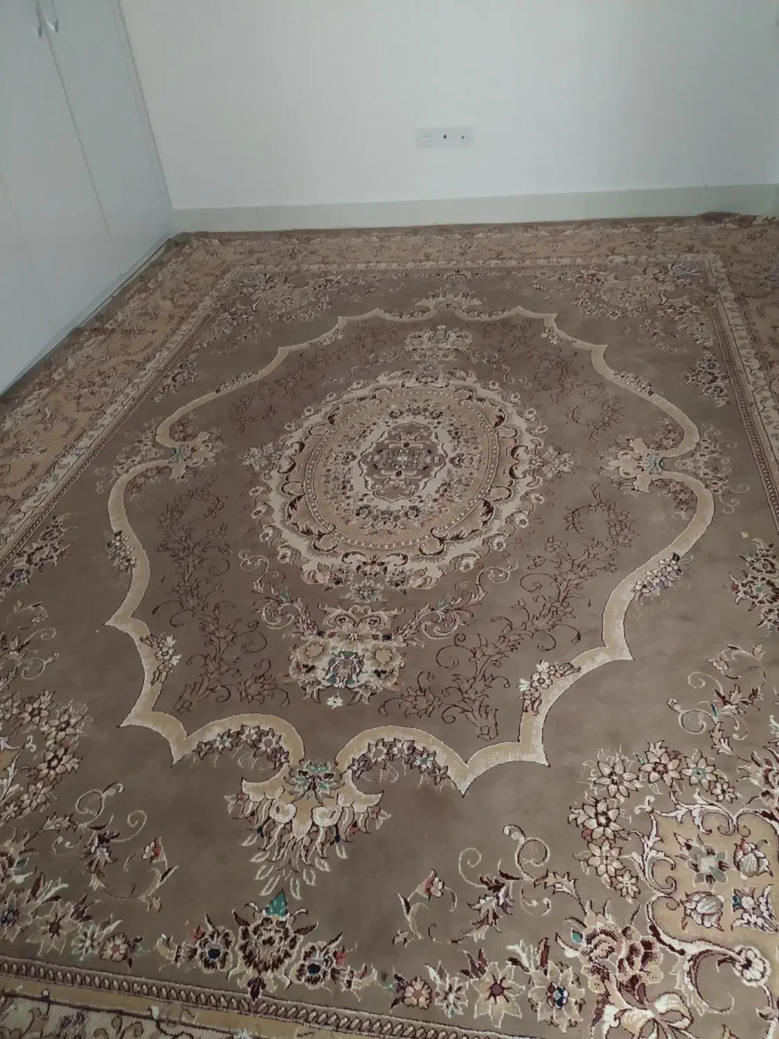 فرش 12متری|فرش|تربت‌حیدریه, کاشانی|دیوار