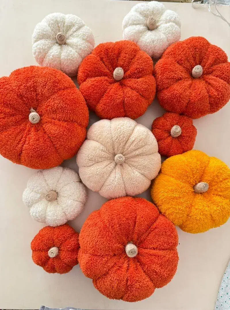 کدو تدی تنبل|صنایع دستی و سایر لوازم تزئینی|نظرآباد, رسالت|دیوار