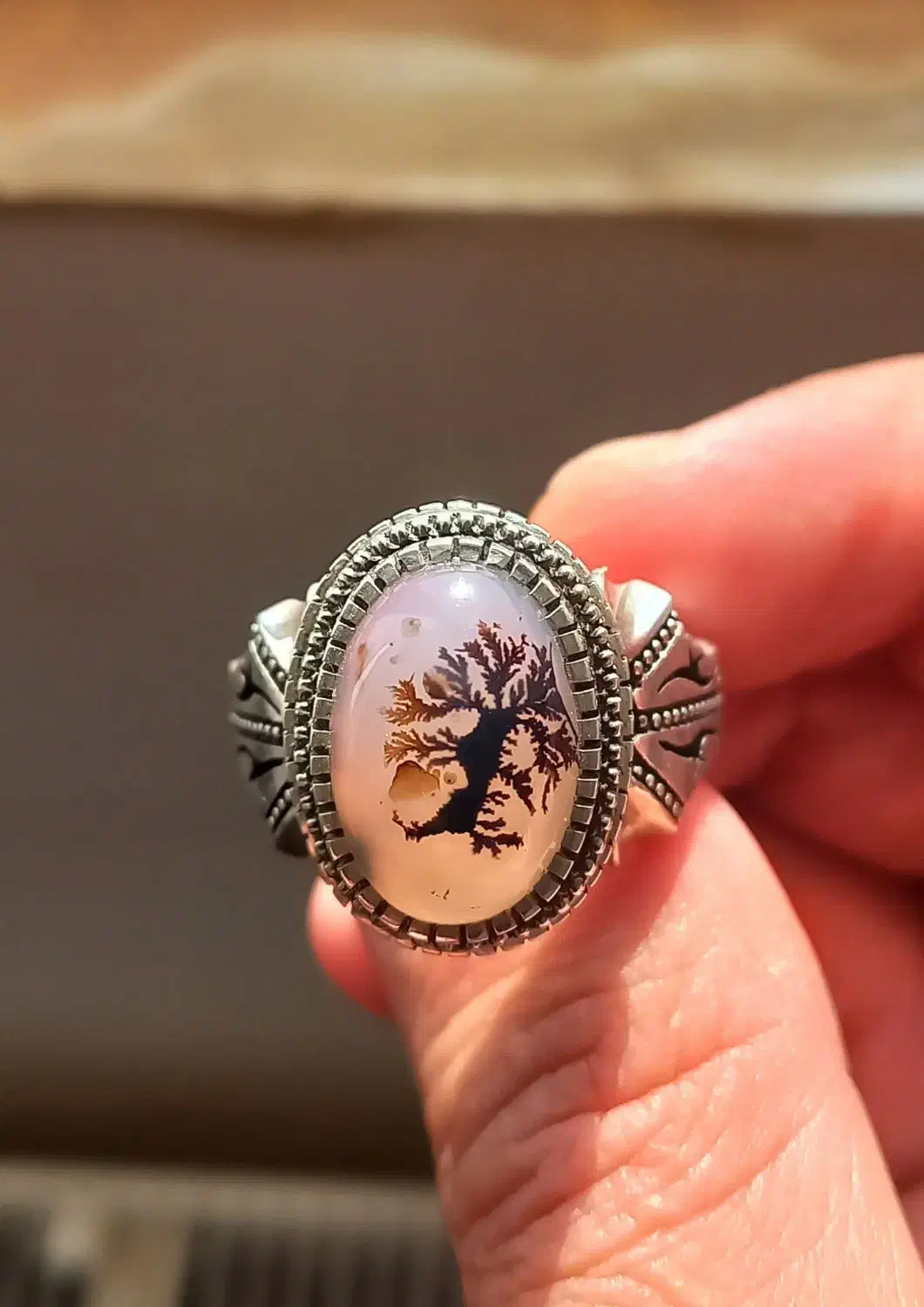 شجر تک درخت قائن|بدلیجات|کرمانشاه, |دیوار