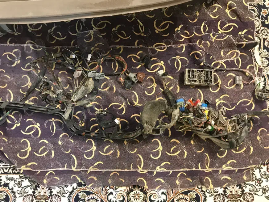 داشبورد پژو کرم فابریک 405|قطعات یدکی و لوازم جانبی|مشهد, انصار|دیوار