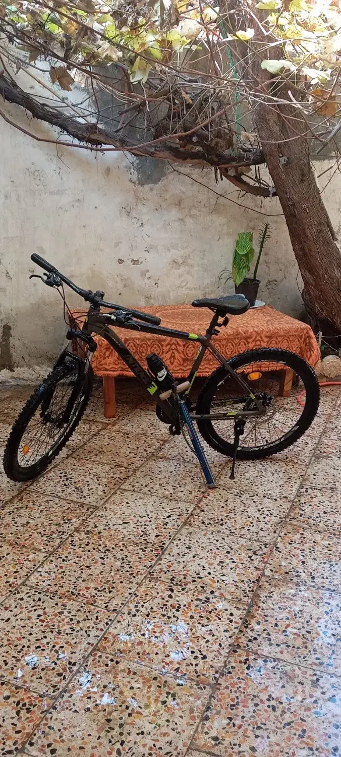 دوچرخه بزرگسال|دوچرخه، اسکیت، اسکوتر|رامسر, |دیوار