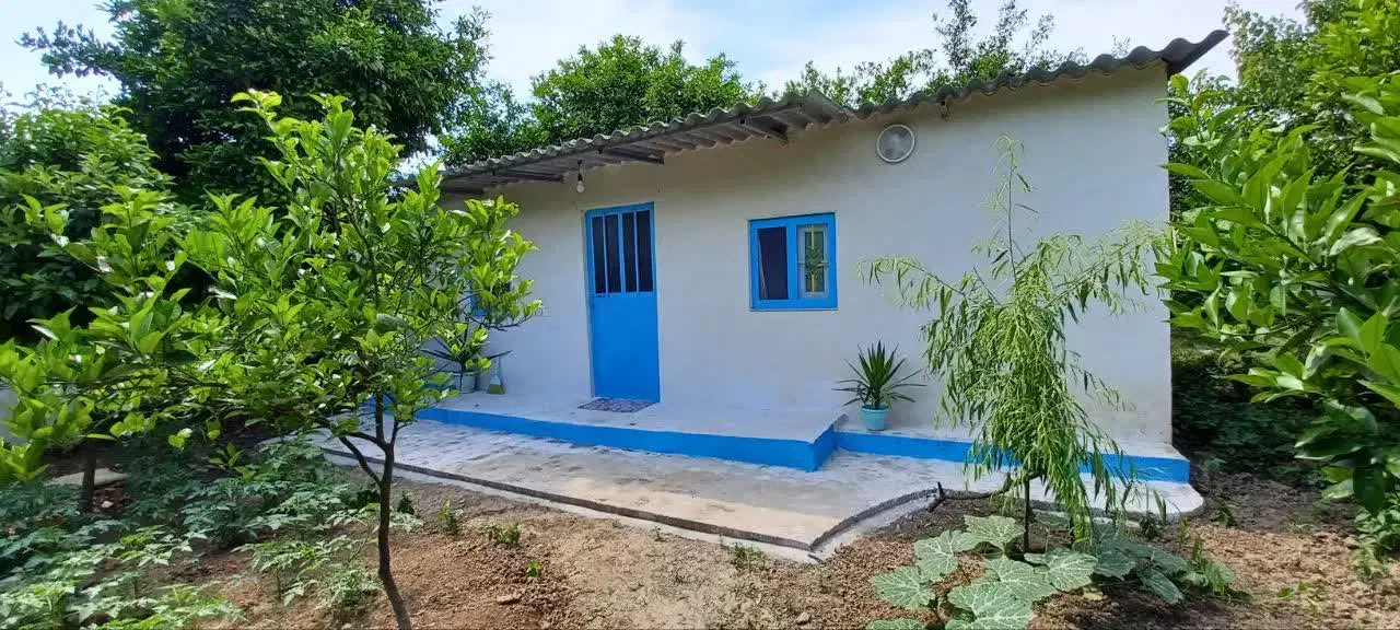 به دنبال مستاجر خانم|اجارهٔ خانه و ویلا|ساری, |دیوار