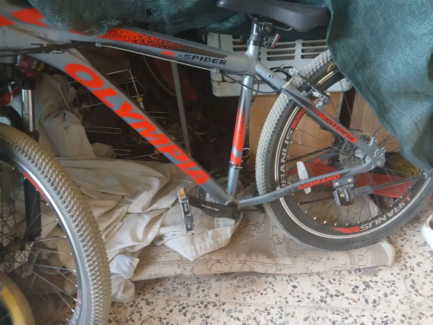 دوچرخه|دوچرخه، اسکیت، اسکوتر|قهدریجان, |دیوار