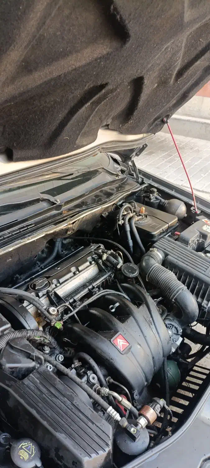 زانتیا Citroen|خودرو سواری و وانت|بندرعباس, |دیوار