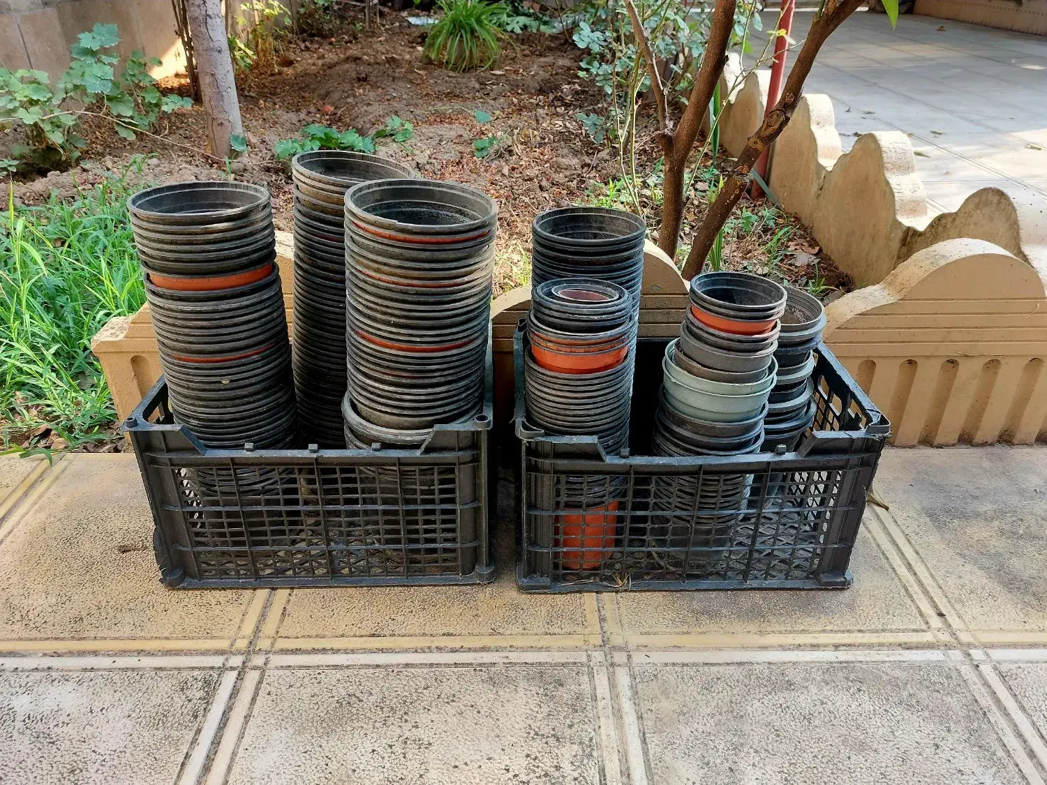 گلدان نشایی|گل و گیاه طبیعی|مینودشت, |دیوار