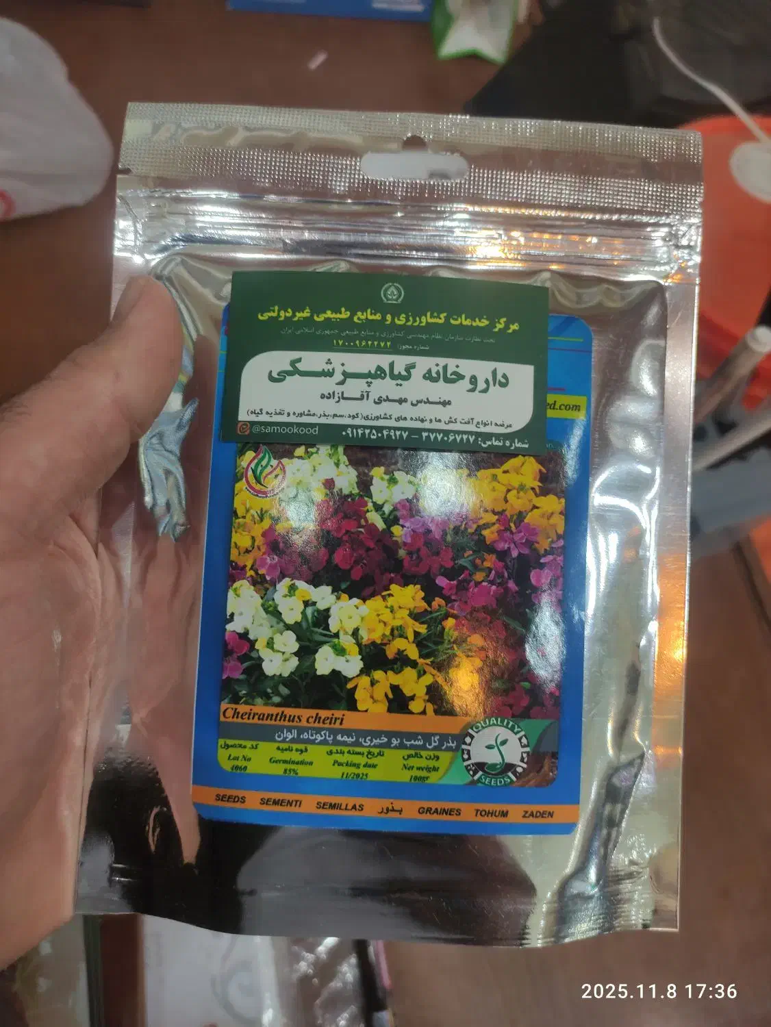 فروش انواع بذر گل به صورت فله مقدار بالا|گل و گیاه طبیعی|قم, تکیه آقا سید حسنی|دیوار