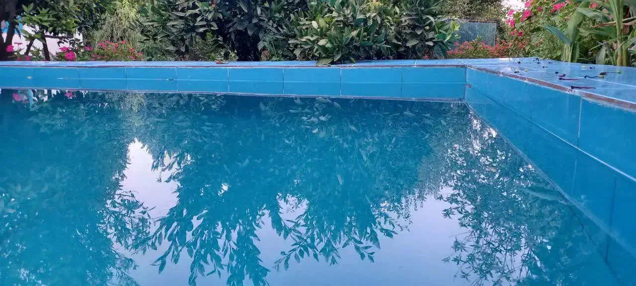 به دنبال مستاجر خانم|اجارهٔ خانه و ویلا|ساری, |دیوار