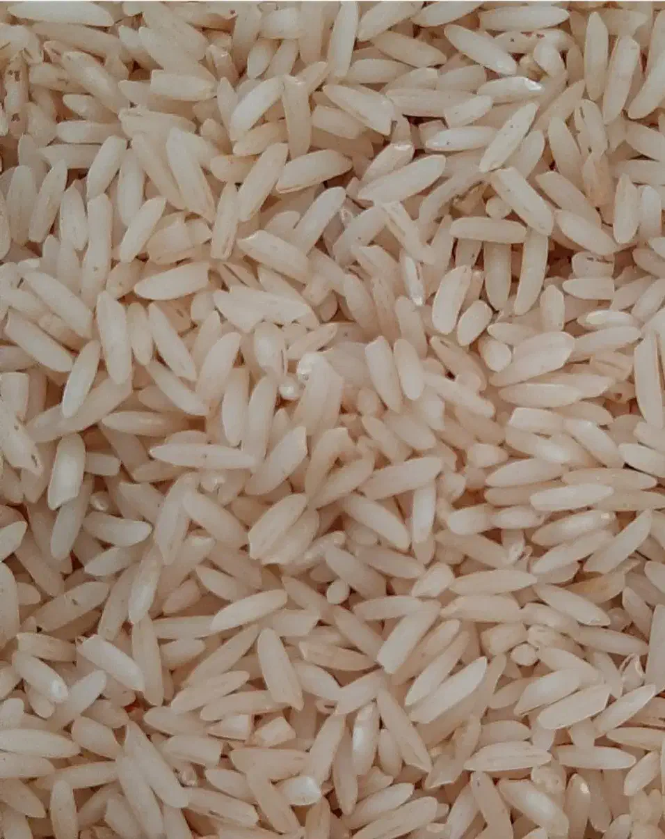 برنج درجه یک کلات نادر کشاورز|خوردنی و آشامیدنی|کلات (خراسان), |دیوار