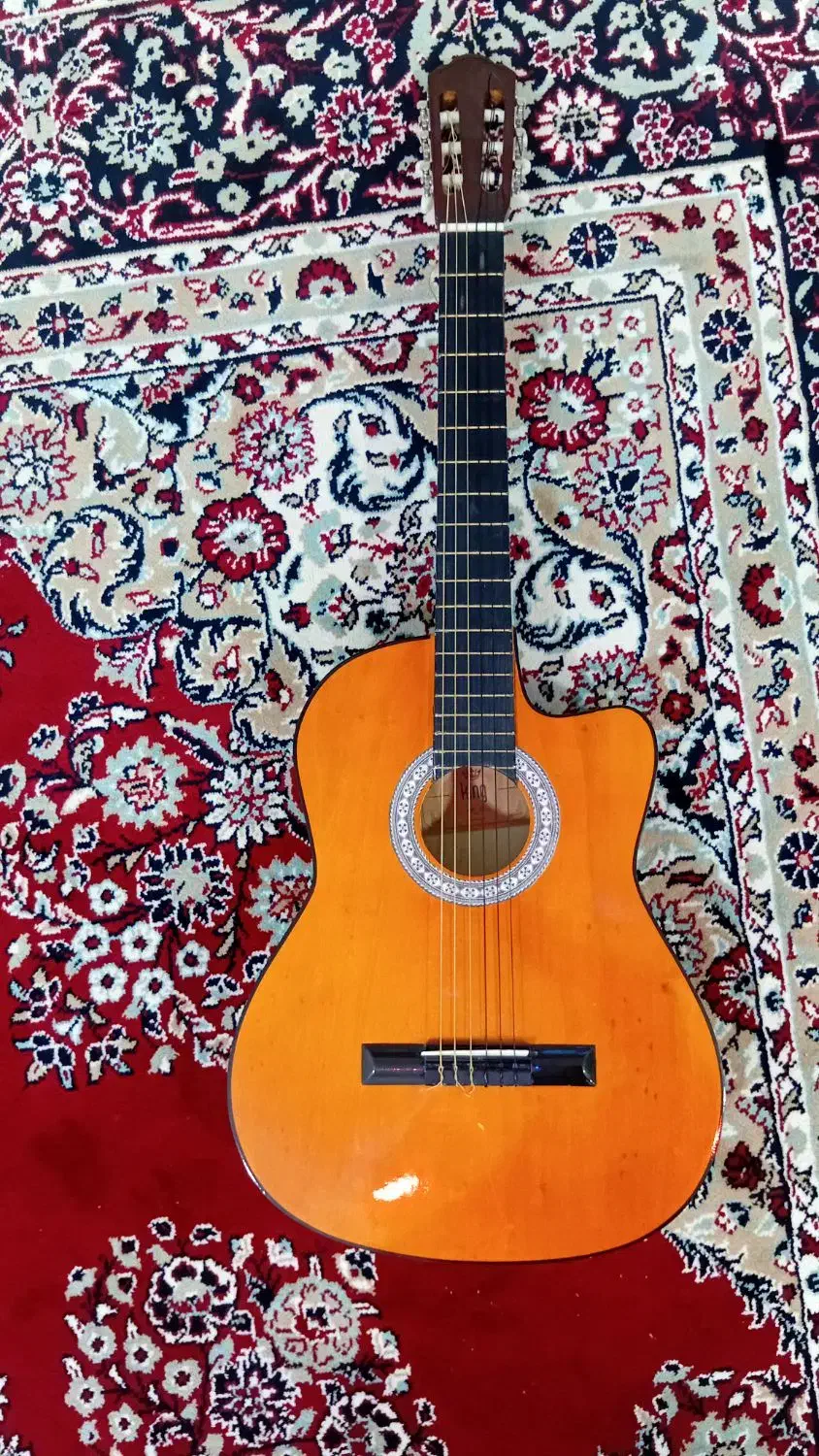 گیتار|گیتار، بیس، امپلیفایر|سوسنگرد, |دیوار