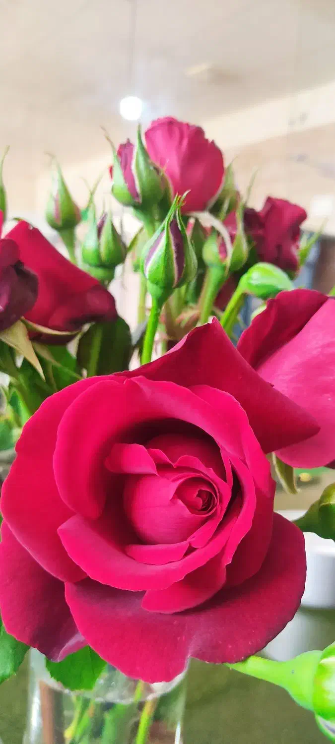 گل مصنوعی|گل مصنوعی|اسدآباد, |دیوار