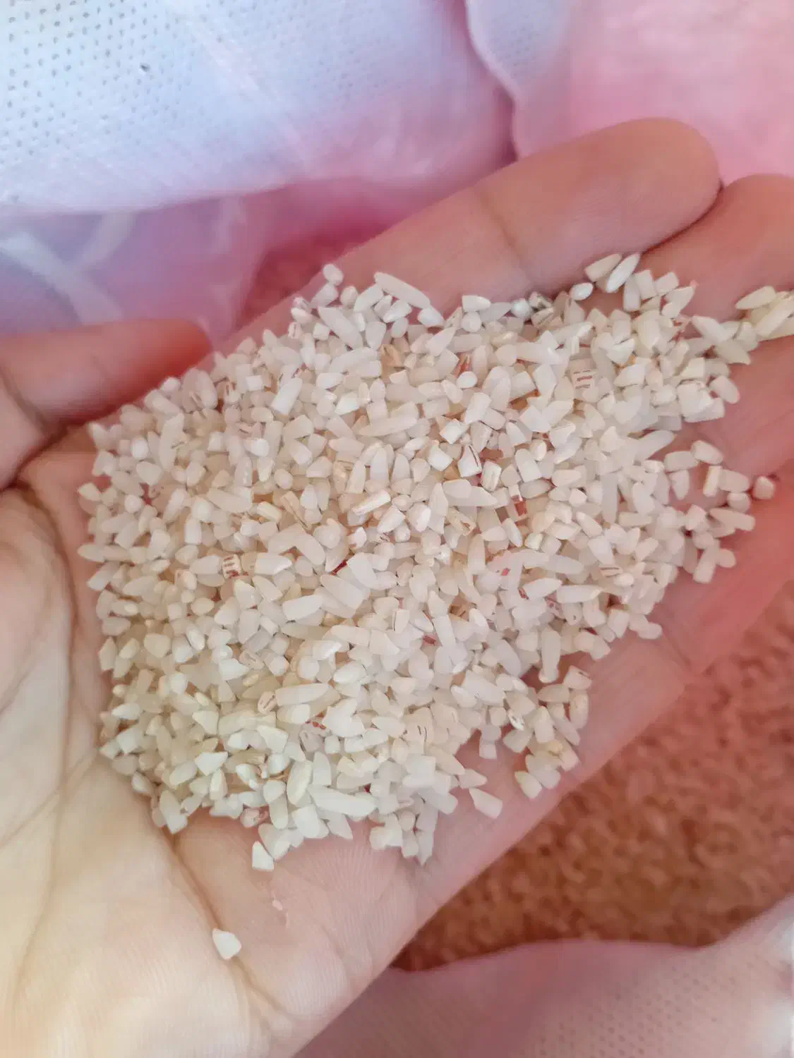 برنج نیم دانه|خوردنی و آشامیدنی|چابکسر, |دیوار