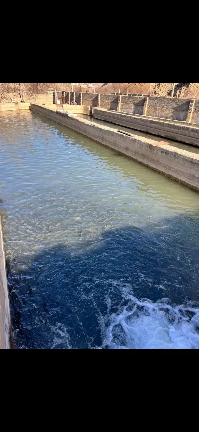 فروش پرورش ماهی با بهترین آب. هوا و لوکیشن|فروش دفتر صنعتی، کشاورزی، تجاری|رینه, |دیوار