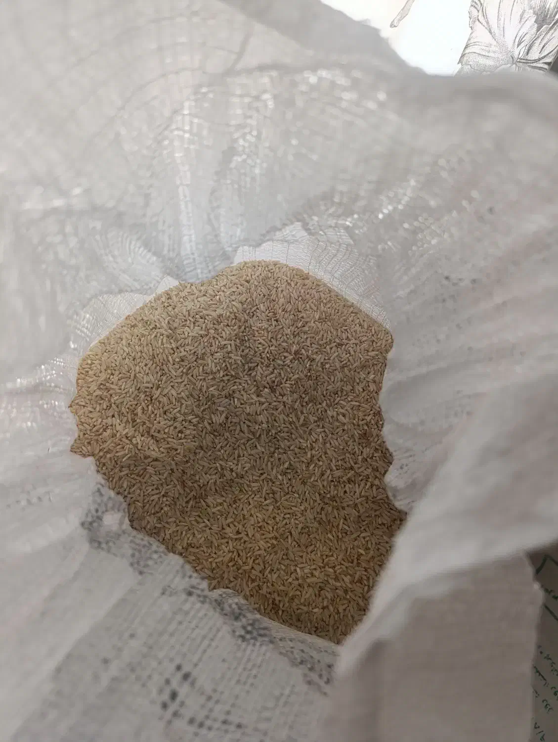 برنج دم سیاه عطری|خوردنی و آشامیدنی|ایلام, |دیوار