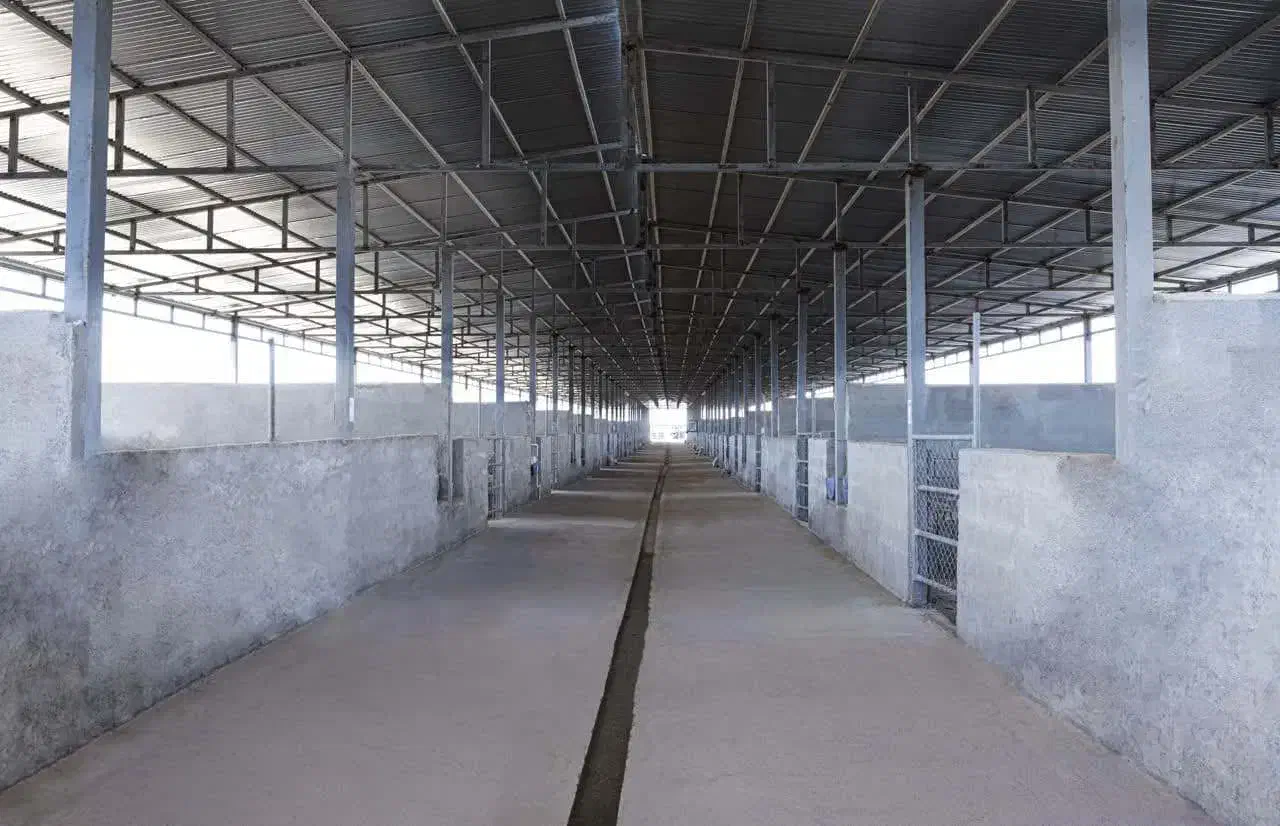 فروش مرغداری گوشتی|فروش دفتر صنعتی، کشاورزی، تجاری|گرمسار, |دیوار