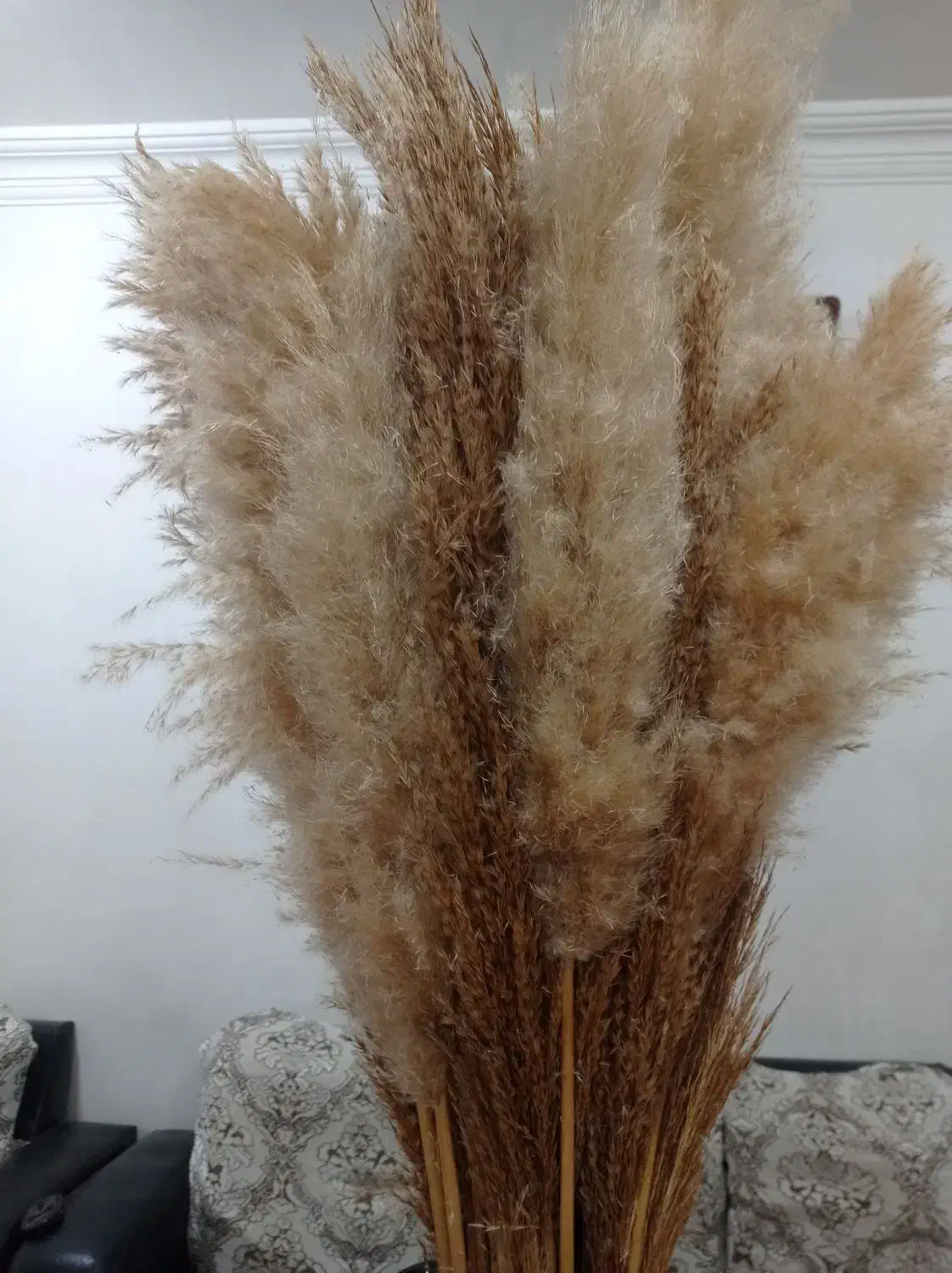 گل و گلدان لوکس|گل مصنوعی|رشت, حمیدیان|دیوار