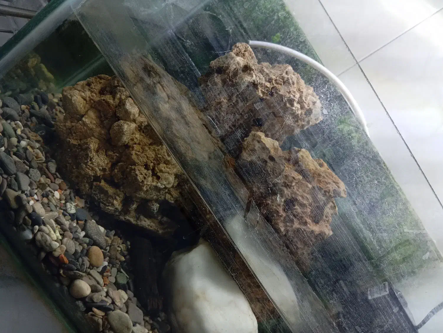 آکواریوم با وسایلش|ماهی|شیراز, شهرک مطهری|دیوار