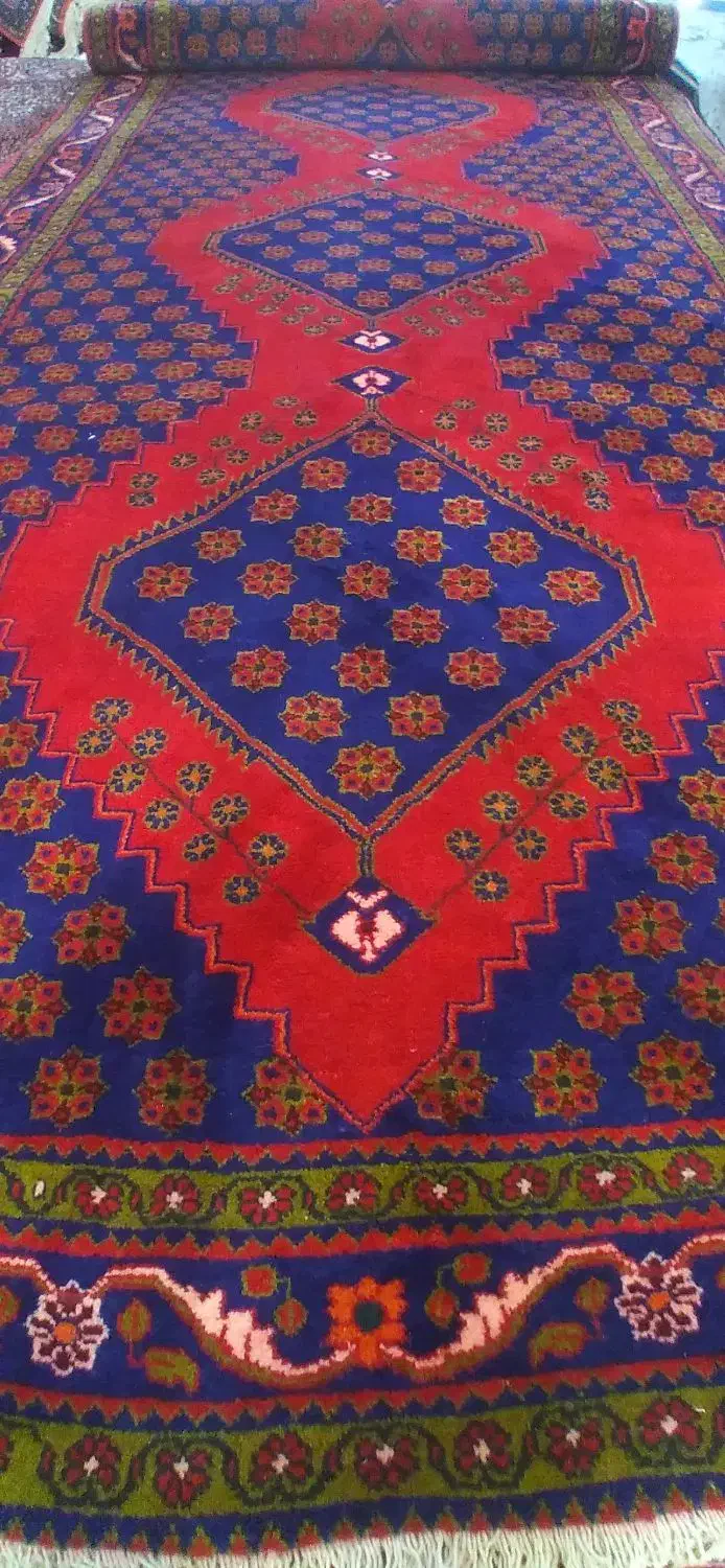 جفت کناره کمیاب|فرش|میانه, |دیوار