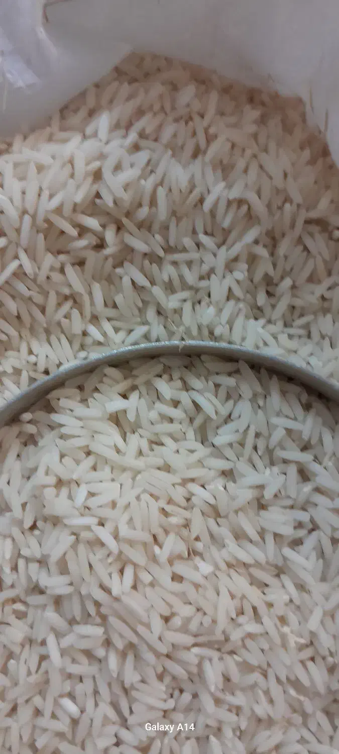 برنج هاشمی استانه اشرفیه|خوردنی و آشامیدنی|قم, پاسدار|دیوار