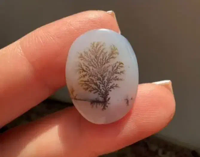 حراج شجر های قائنات با بهترین منظره زیر قیمت|جواهرات|تهران, دریاننو|دیوار