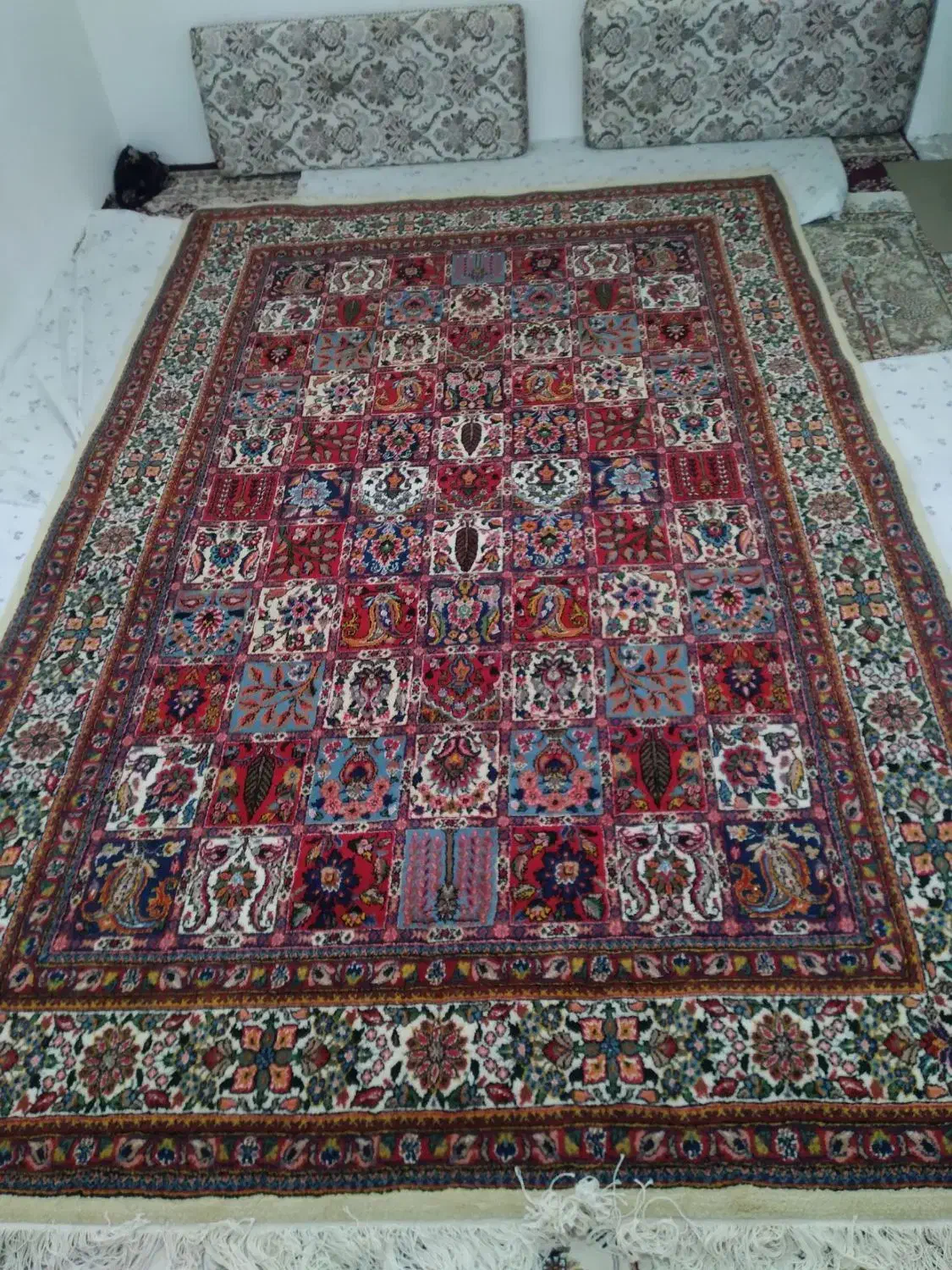 قالی دست بافت ۶متری|فرش|کیار, |دیوار