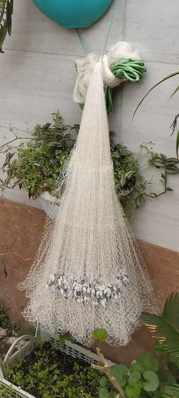 تور ماهیگیری|ماهیگیری|رشت, فلسطین|دیوار