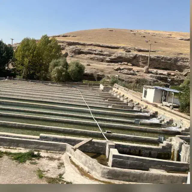 استخدام کارگر پرورش ماهی|استخدام صنعتی، فنی، مهندسی|شهرکرد, |دیوار