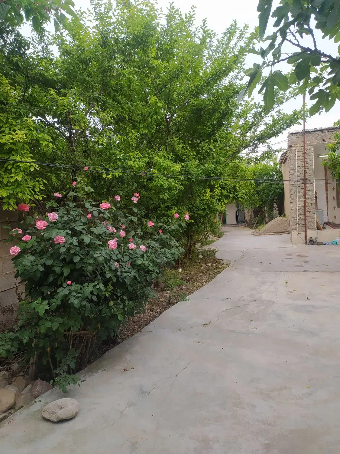 فروش زمین ۳۳۰ متری|فروش خانه و ویلا|گالیکش, |دیوار