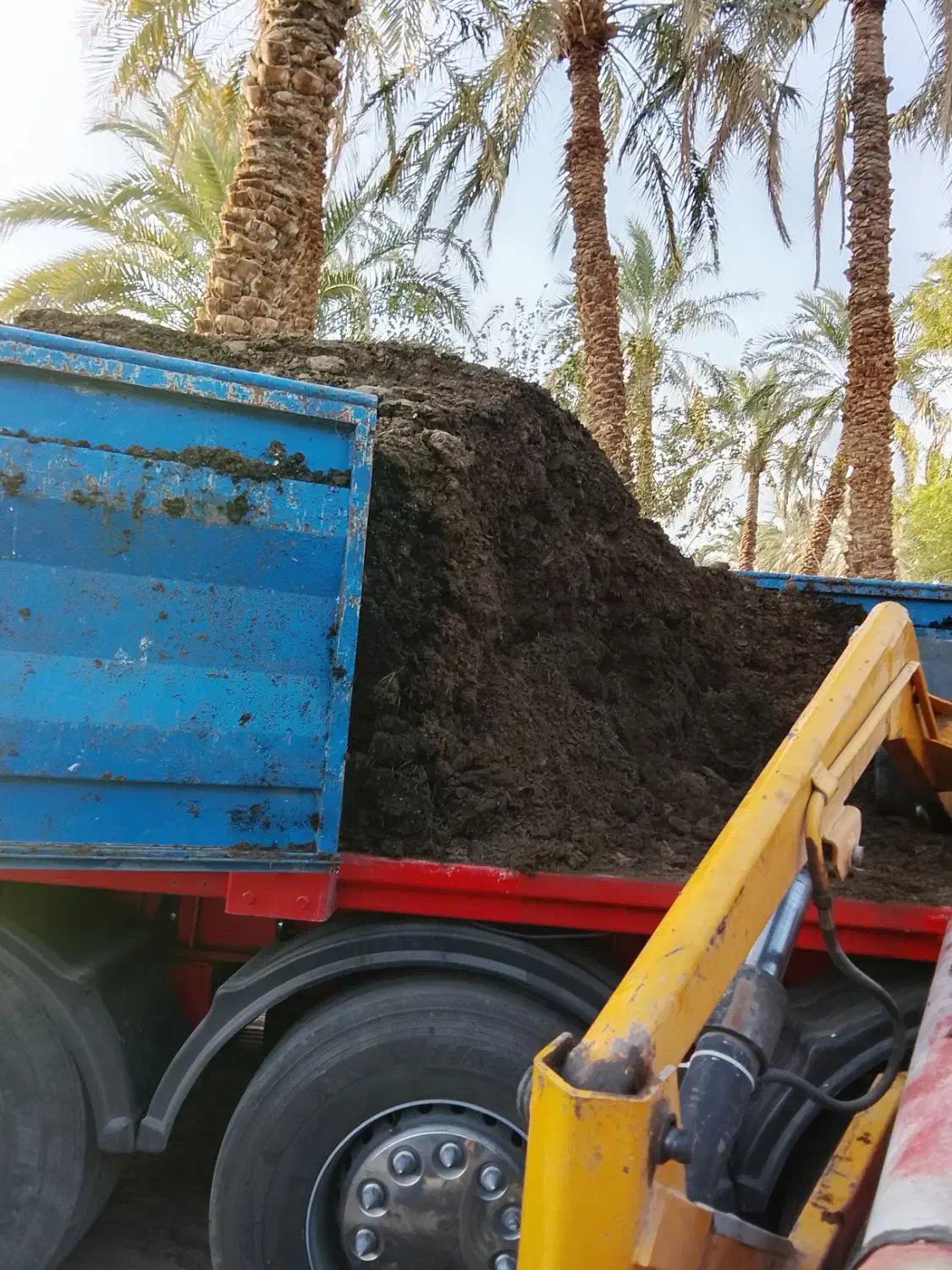 پخش کود حیوانی گاوی خالص|خدمات باغبانی و درختکاری|بم, |دیوار