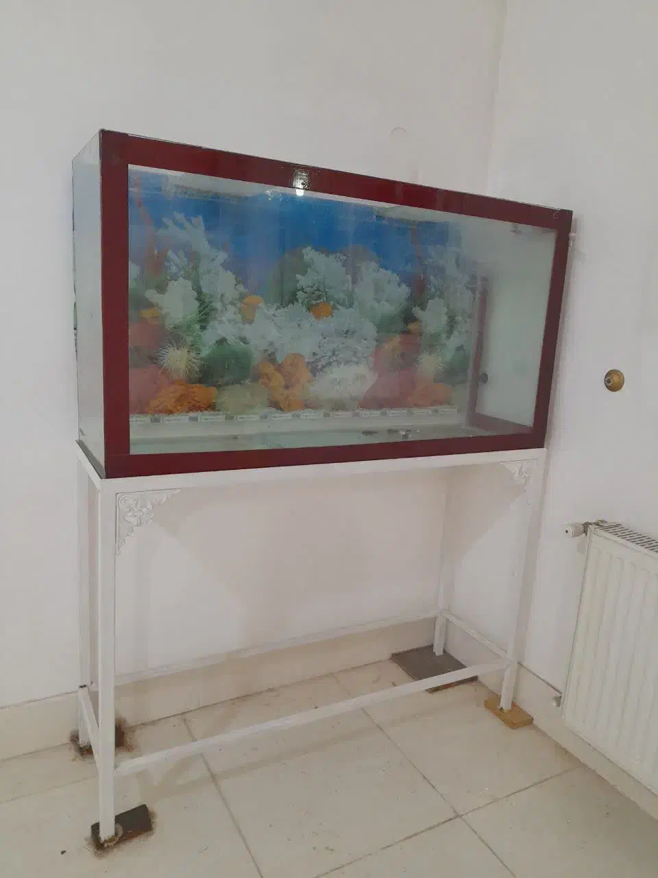 اکواریوم|ماهی|قم, دروازه ری|دیوار