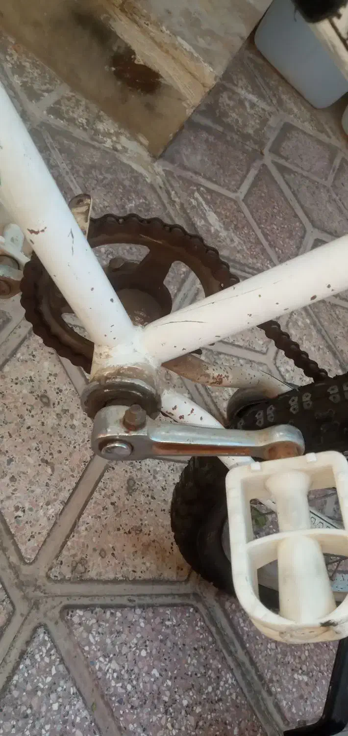 دوچرخه ۱۶|دوچرخه، اسکیت، اسکوتر|سده (خراسان جنوبی), |دیوار