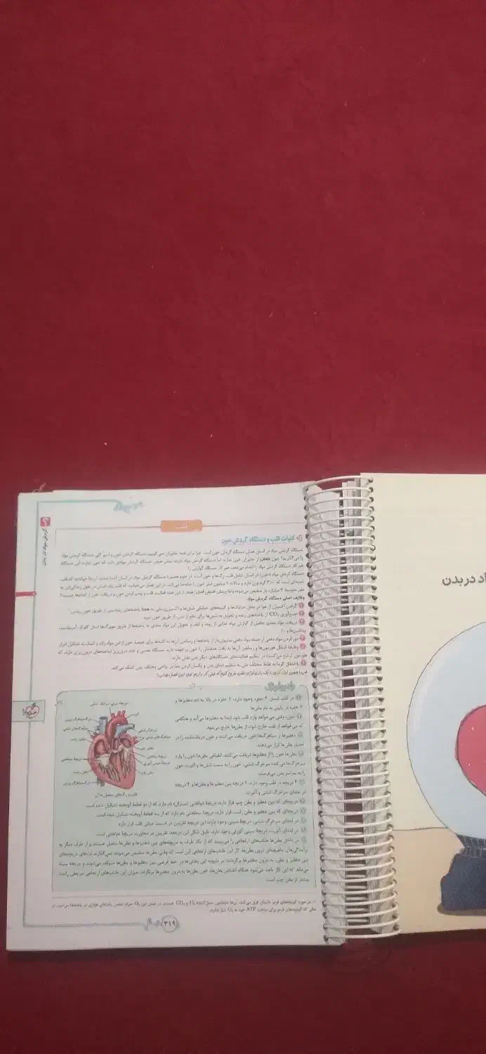 کتاب کمک درسی کتاب تست|کتاب و مجله آموزشی|قیروکارزین, |دیوار