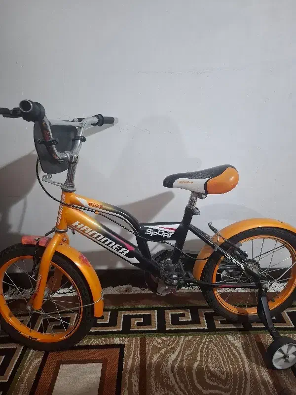 دوچرخه|دوچرخه، اسکیت، اسکوتر|بابل, |دیوار